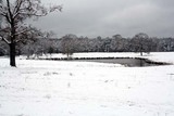 Snow in Louisiana (Pond in the Ambush pasture)
