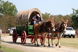 Mules and wagon, Ark-La-Tex Meeting